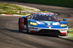 #67 Ford Chip Ganassi Racing Ford GT: Andy Priaulx, Harry Tincknell