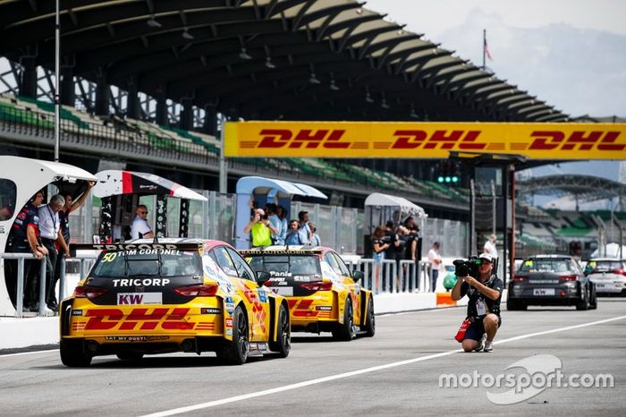 Tom Coronel, Comtoyou DHL Team CUPRA Racing CUPRA TCR