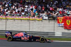 Carlos Sainz Jr., Scuderia Toro Rosso STR11