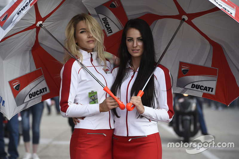 Hermosas chicas de Ducati