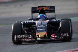 Max Verstappen, Scuderia Toro Rosso STR11