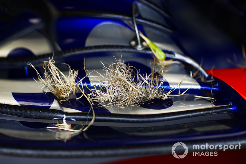 Grass in the front wing of the car of Pierre Gasly, Scuderia Toro Rosso STR13