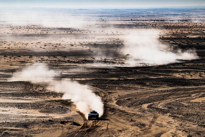 #223 X-Raid Mini John Cooper Works Rally Mini: Sebastian Halpern, Bernardo Graue