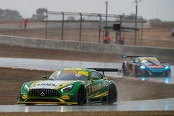 #8 Mercedes-AMG GT3: Max Twigg, Tony DAlberto