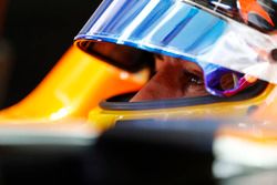 Fernando Alonso, McLaren