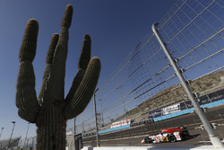 Marco Andretti, Andretti Autosport Honda