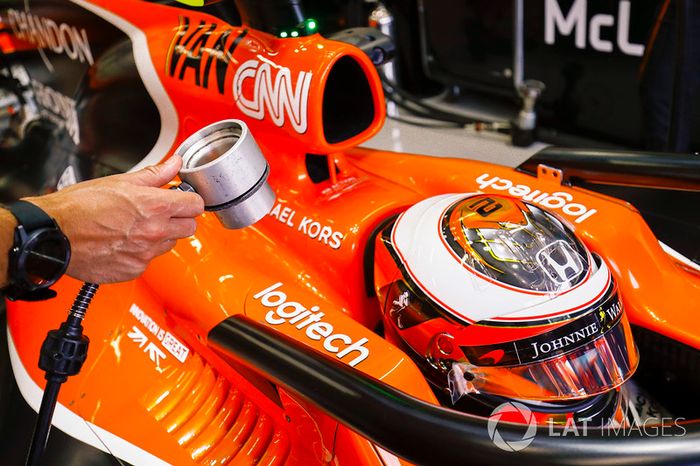 Stoffel Vandoorne, McLaren con el Halo