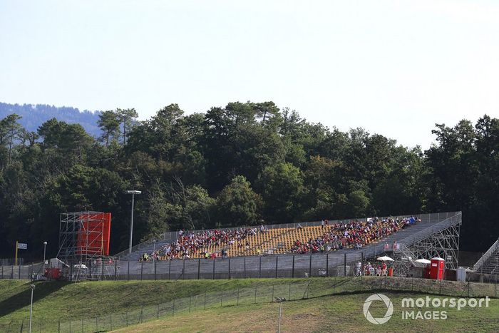 Fans in a grandstand