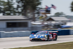 #67 Ford Performance Chip Ganassi Racing Ford GT: Райан Бріско, Річард Вестбрук, Скотт Діксон