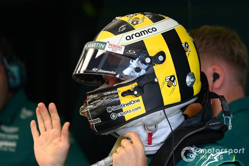 GP Austria 2022, sobre la extinción de las abejas