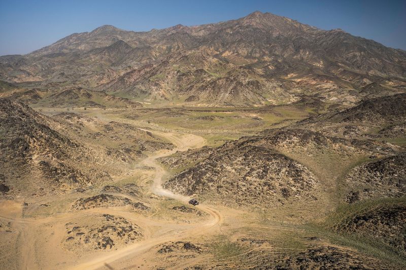 #219 I Dacia Sandriders Dacia: Sebastien Loeb, Edouard Boulanger