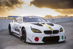 BMW M6 GTLM Art Car de John Baldessari