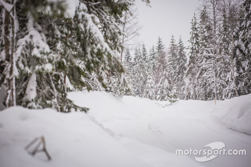 Rally di Svezia, atmosfera