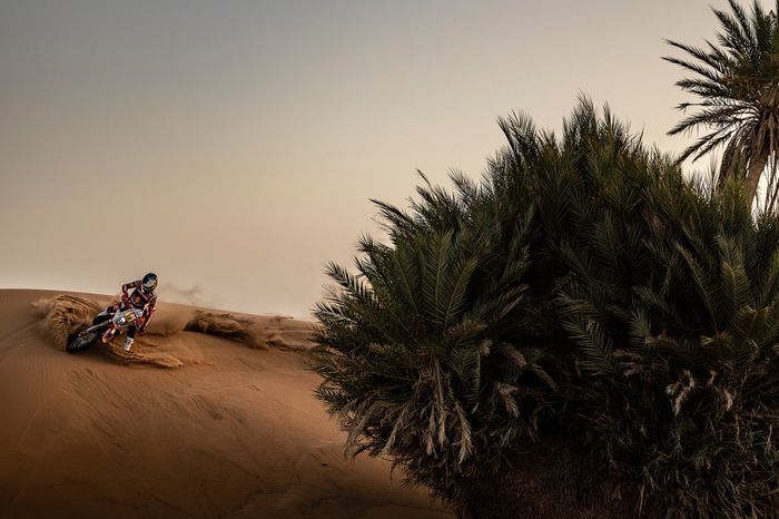 Daniel Sanders, GASGAS Factory Racing