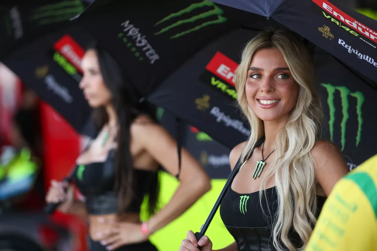 monster-energy-girls.webp