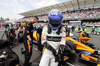 Fernando Alonso, McLaren, sur la grille