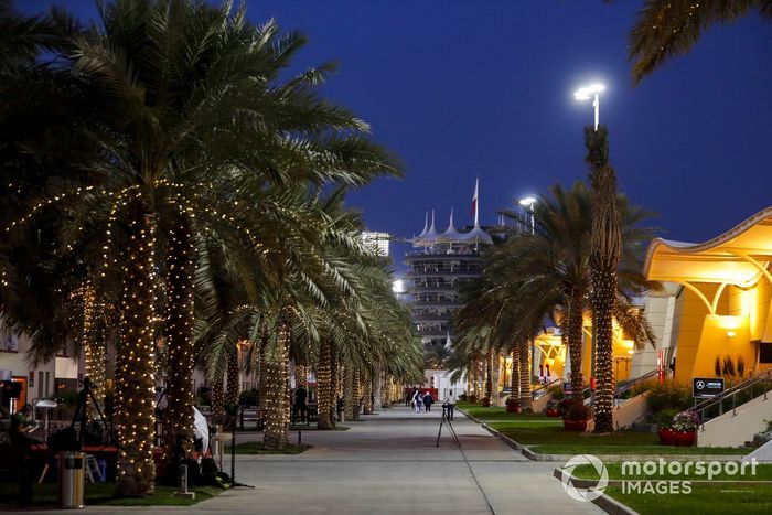 Las palmeras en el paddock