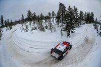 Arctic Rally