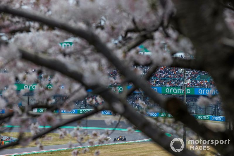 Max Verstappen, Red Bull Racing RB20