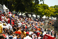 Fans gather in the grandstand
