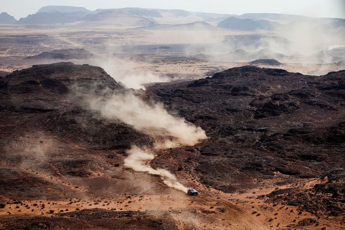 #225 Ford M-Sport Ford: Карлос Сайнс-старший, Лукас Круз