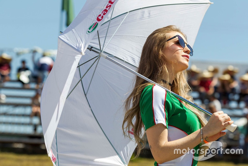 Grid girl