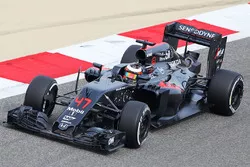 Stoffel Vandoorne, McLaren MP4-31