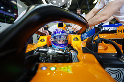 Fernando Alonso, McLaren, in his cockpit