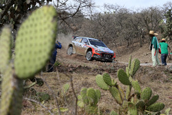 Thierry Neuville, Nicolas Gilsoul, Hyundai i20 WRC, Hyundai Motorsport