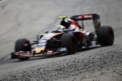 Карлос Сайнс-мол., Scuderia Toro Rosso STR11