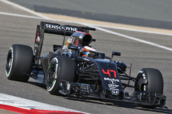 Stoffel Vandoorne, McLaren MP4-31