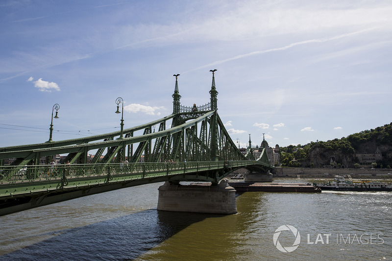 A view of Liberty Bridge and the Danube River