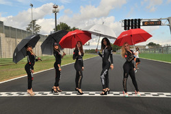 Grid girls