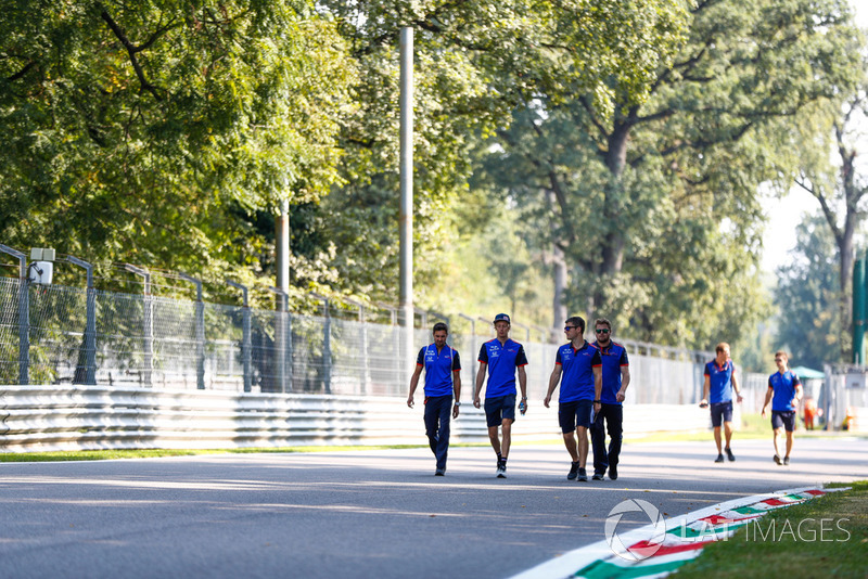 Брендон Хартли, Toro Rosso