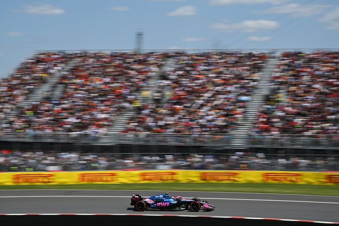 Franco Colapinto, Alpine