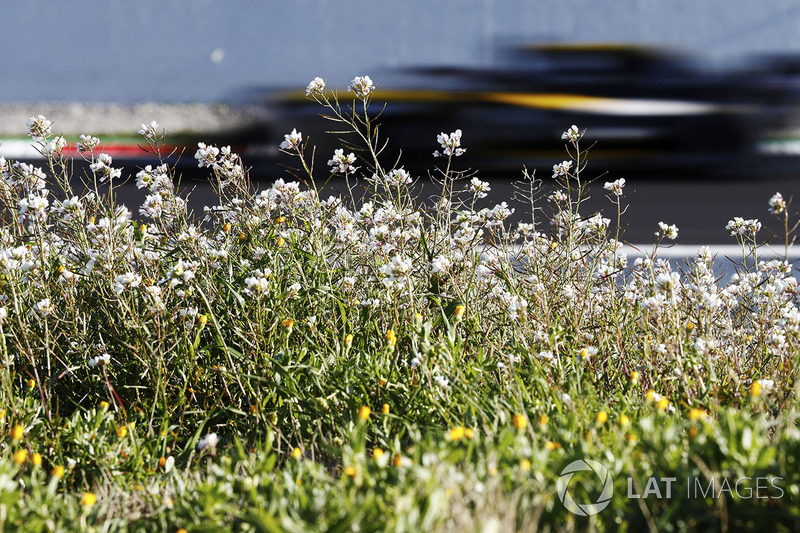Карлос Сайнс-мол., Renault Sport F1 Team RS18
