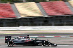 Stoffel Vandoorne, McLaren MP4-31 Piloto de Prueba y de Reserva