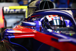 Pierre Gasly, Toro Rosso, in his cockpit