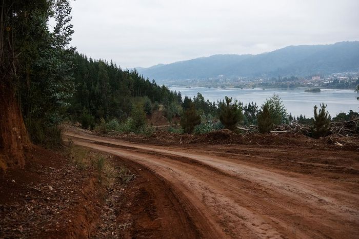 Vista general del camino