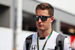 Stoffel Vandoorne, pilote de réserve de McLaren