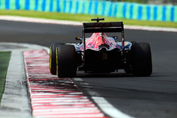 Carlos Sainz Jr, Scuderia Toro Rosso STR11