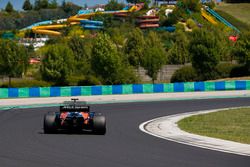 Stoffel Vandoorne, McLaren MCL32