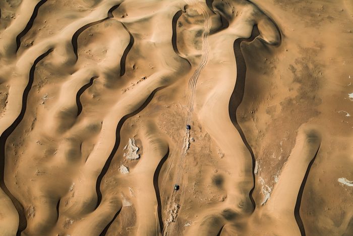 #226 Ford M-Sport Ford: Mattias Ekstrom, Emil Bergkvist