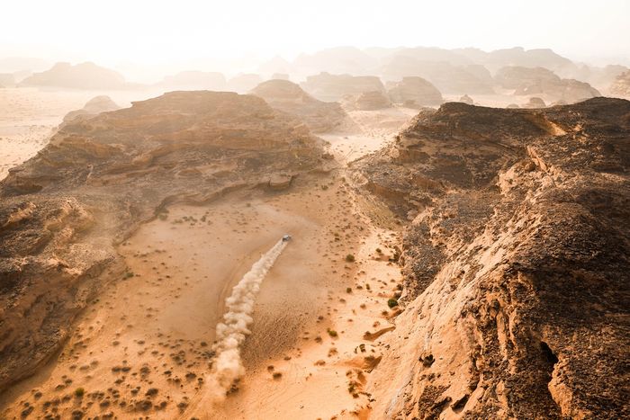 #225 Ford M-Sport Ford : Carlos Sainz Sr, Lucas Cruz