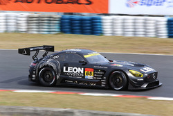 #65 LEON CVSTOS AMG-GT