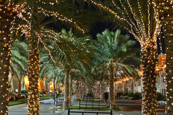 El paddock en la noche