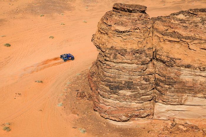 #225 Ford M-Sport Ford: Carlos Sainz Sr, Lucas Cruz