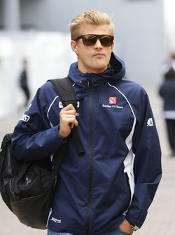 Маркус Эрикссон, Sauber
