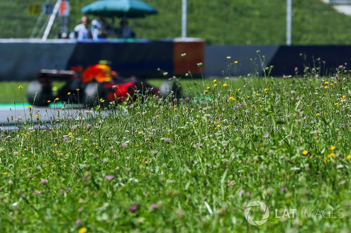 Max Verstappen, Red Bull Racing RB13