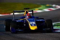 Santino Ferrucci, DAMS
